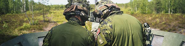 Operation REASSURANCE: LAND Task Force